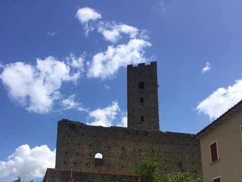 Camping Barco Reale - Camping Pistoia - Image N°23