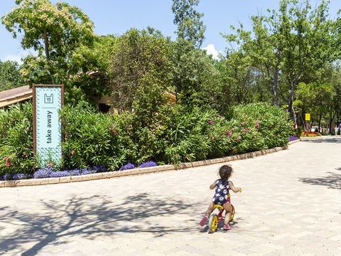 hu Montescudaio village hu Montescudaio village - Camping Pise - Image N°15