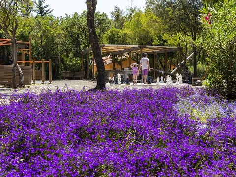 hu Montescudaio village hu Montescudaio village - Camping Pise - Image N°22