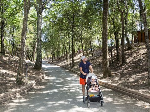 hu Montescudaio village hu Montescudaio village - Camping Pise - Image N°29