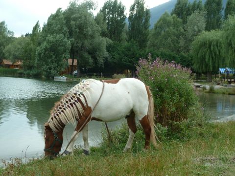 Camping La Motte Flottante - Camping Hautes-Alpes - Image N°11