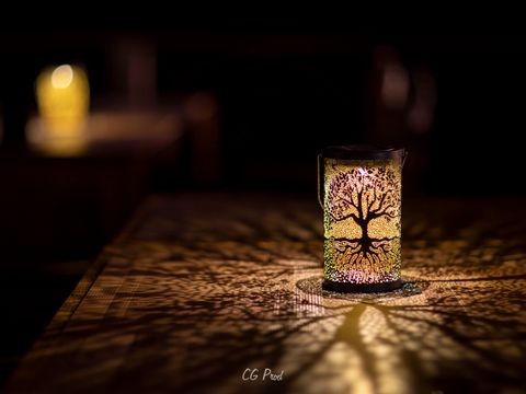 TENTE 1 personne - DOME LODGE sans sanitaires