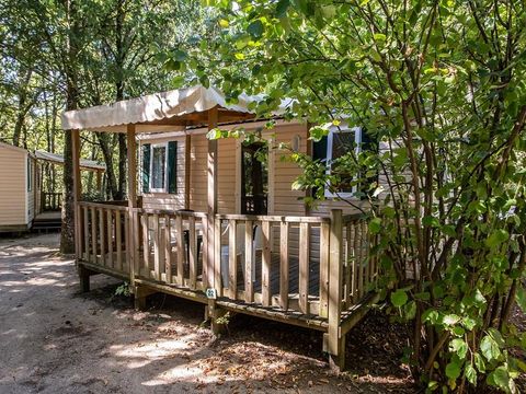 MOBILHOME 5 personnes - DOMINO - MURETTE