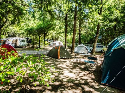 Emplacement - Emplacement Confort Foret