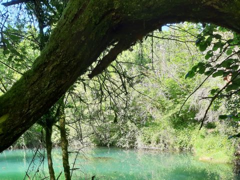 Camping Le Célé - Camping Lot - Image N°17