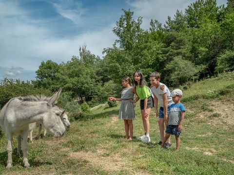 Yelloh! Village Les Bois Du Chatelas - Camping Drome - Image N°53