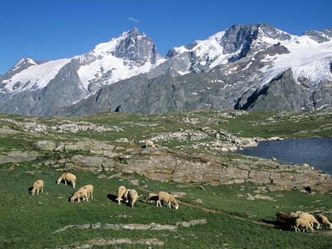 Camping Alpes Dauphine - Camping Hautes-Alpes - Image N°69