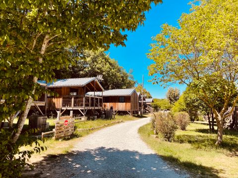 LODGE 4 personnes - Lodge Feroe 20m² (1 chambre)  Climatisation