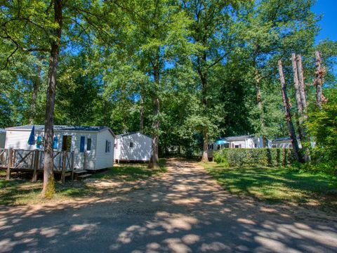 Flower Camping les Nauves - Camping Dordogne - Image N°16
