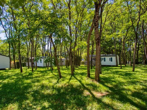 Flower Camping les Nauves - Camping Dordogne - Image N°18