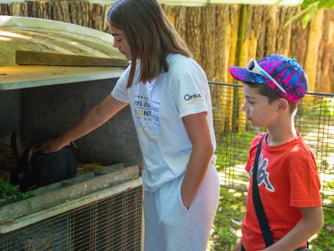 Flower Camping les Nauves - Camping Dordogne - Image N°17