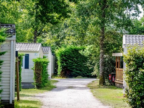 Flower Camping la Canadienne - Camping Gironde - Image N°19