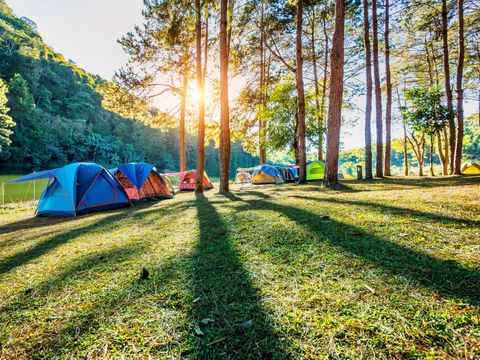 Le Petit Bois 46 - Village de gites et Camping - Camping Lot - Image N°2