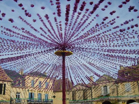 Camping La Grande Veyiere - Camping Dordogne - Image N°40