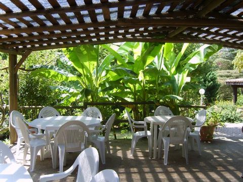 Camping La Grande Veyiere - Camping Dordogne - Image N°18
