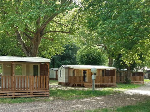 Camping Les Rives de la Dordogne - Camping Dordogne - Image N°15