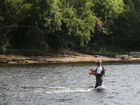 Camping Les Rives de la Dordogne - Camping Dordogne - Image N°16