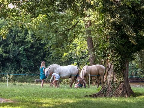 Camping Les Rives de la Dordogne - Camping Dordogne - Image N°17