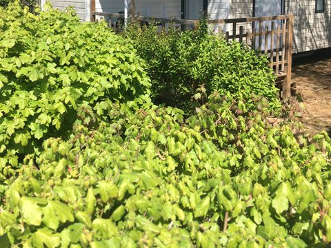 MOBILHOME 6 personnes - Malaga Trio - 3 Chambres -  30 m2 (+ Terrasse semi couverte 11 m2) 6 personnes