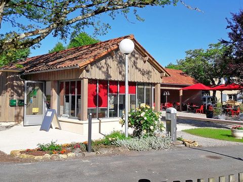 Camping Le Bosquet - Camping Dordogne - Image N°11