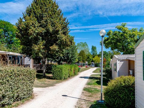 Flower Camping  Le Tiradou Flower Camping  Le Tiradou - Camping Dordogne - Image N°6