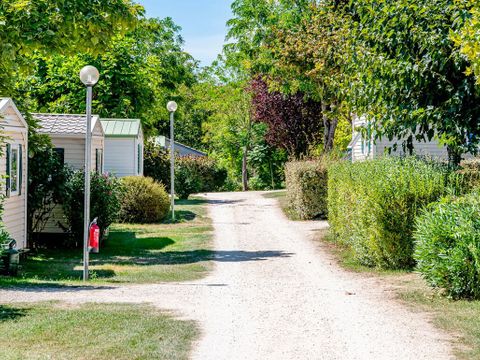 Flower Camping  Le Tiradou Flower Camping  Le Tiradou - Camping Dordogne - Image N°3