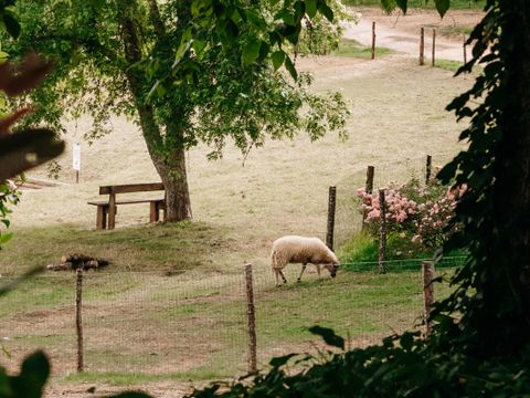 Slow Village Seveilles - Camping Dordogne - Image N°24