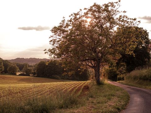 Slow Village Seveilles - Camping Dordogne - Image N°7