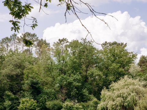 Slow Village Seveilles - Camping Dordogne - Image N°22