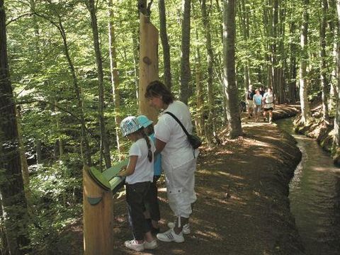 Camping Belvédère de l'Obiou - Camping Isère - Image N°22