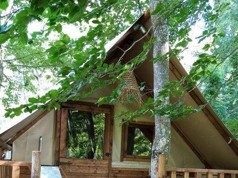 TENTE TOILE ET BOIS 4 personnes - Tente AMAZONE sans sanitaire 4 pers