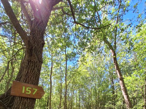 TENTE TOILE ET BOIS 2 personnes - Flo'Tente 2 pers