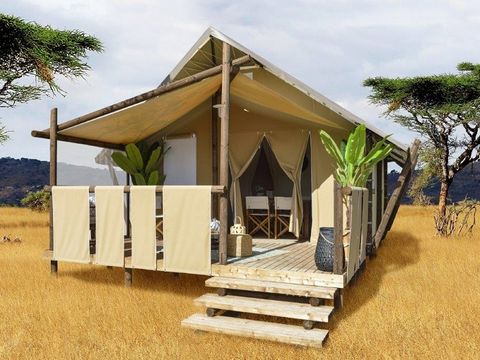 TENTE 4 personnes - TENTE LODGE JUNGLE (2023) 25 M² SANS SANITAIRE 4 PERS