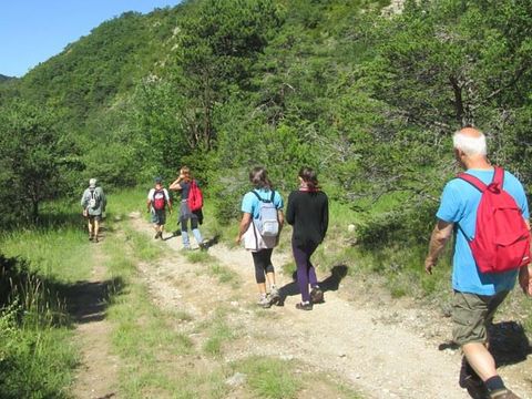 Camping La Combe d'Oyans - Camping Drome - Image N°18