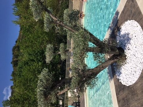 Camping de Retourtour - Camping Ardèche - Image N°16