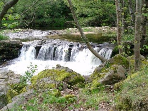 Camping de Retourtour - Camping Ardèche - Image N°14