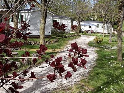 MOBILHOME 6 personnes - TITANIA - 28m² - 2 chambres