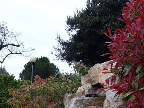 Camping Les Roches - Camping Ardèche - Image N°13