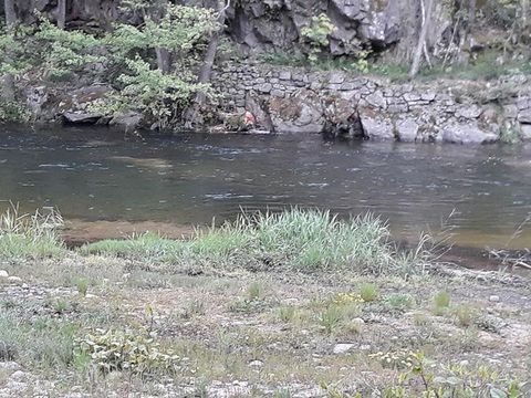 Camping Les Roches - Camping Ardèche - Image N°15