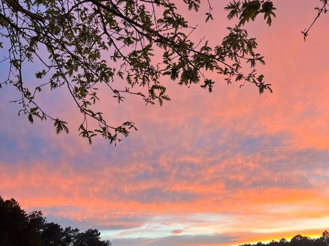 MOBILHOME 4 personnes - avec vue sur l'étang 1/4 pers.
