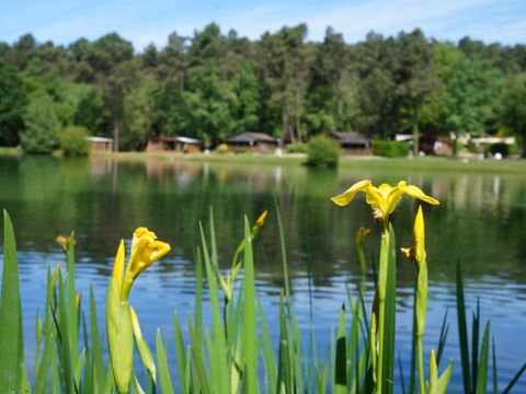 MOBILHOME 4 personnes - avec vue sur l'étang 1/4 pers.