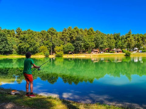 MOBILHOME 4 personnes - Mobil home Essentiel 2ch 1/4 pers