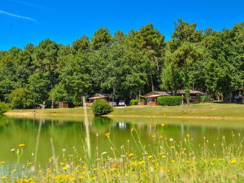 Gaia Ecolodge - Camping Dordogne - Image N°22