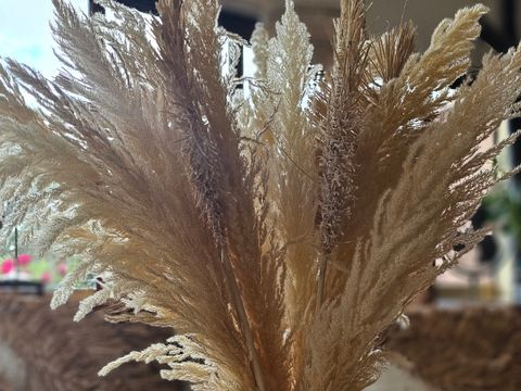 Gaia Ecolodge - Camping Dordogne - Image N°17