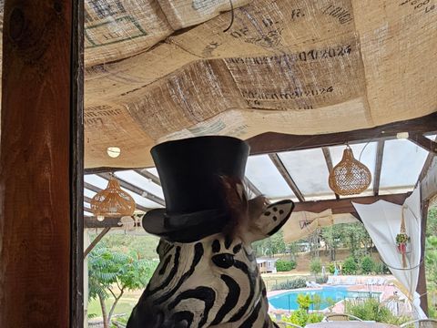 Gaia Ecolodge - Camping Dordogne - Image N°19