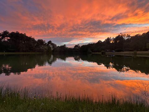 Gaia Ecolodge - Camping Dordogne - Image N°7