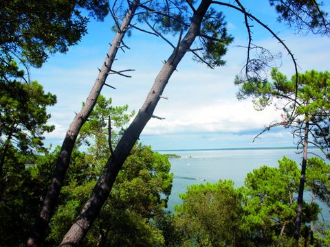 Camping Le Capdeville - Camping Gironde - Image N°9
