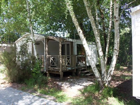 Camping Le Capdeville - Camping Gironde - Image N°8