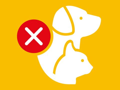 CHALET 6 personnes - Faucille