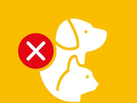 MOBILHOME 4 personnes - Buissonnière